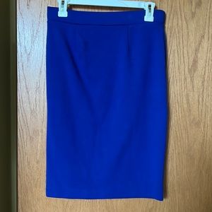 Moschino Blue Skirt
